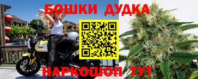 индика Свободный