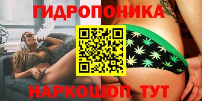 индика Свободный