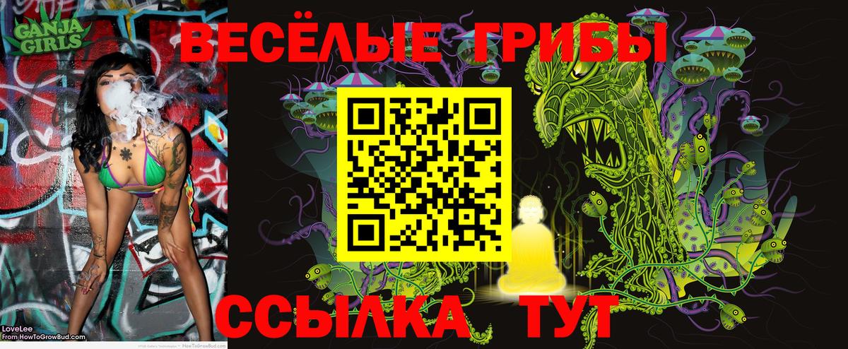 Псилоцибиновые грибы Magic Shrooms  Псилоцибиновые грибы Psilocybine cubensis  Вход с VPN  Улан-Удэ 